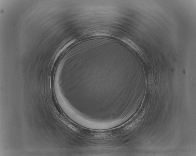 X0000073890790200609011652