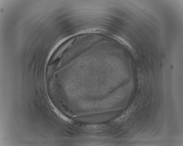 X0000073890792200609011652