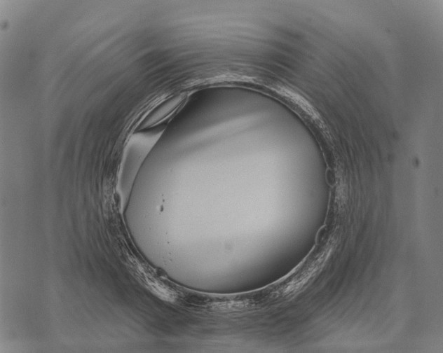 X0000073890793200609011652