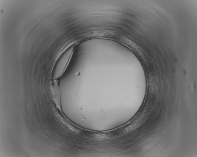 X0000073890794200609011652