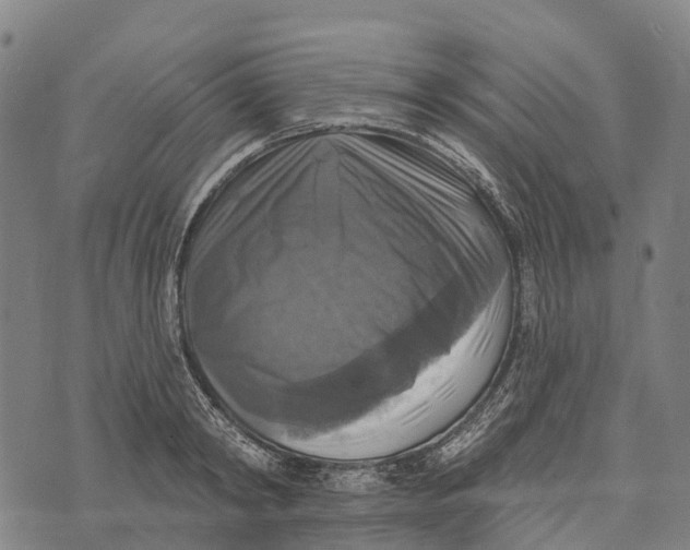 X0000073890798200609011652