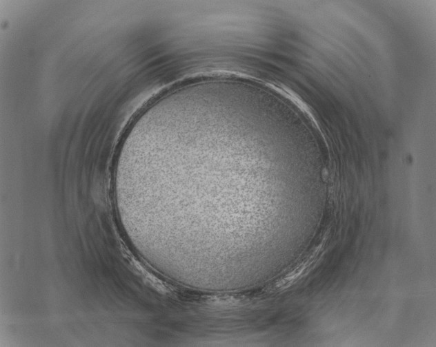 X0000073890799200609011652