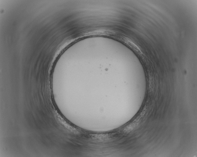 X0000073890800200609011652