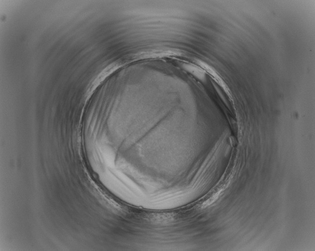 X0000073890802200609011652