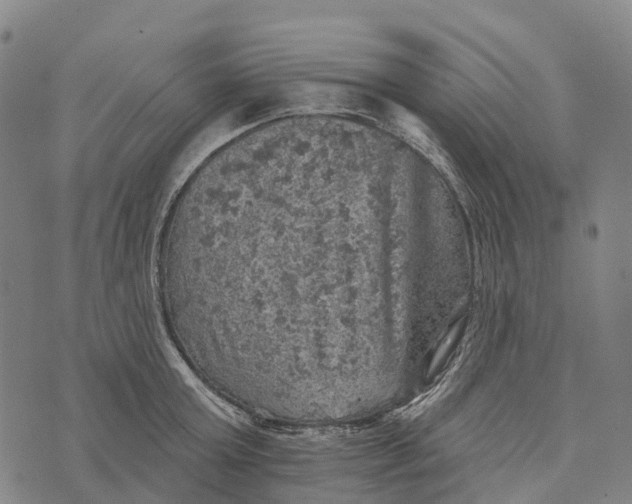 X0000073890803200609011652