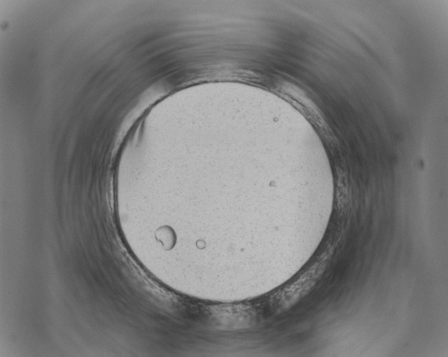 X0000073890804200609011652