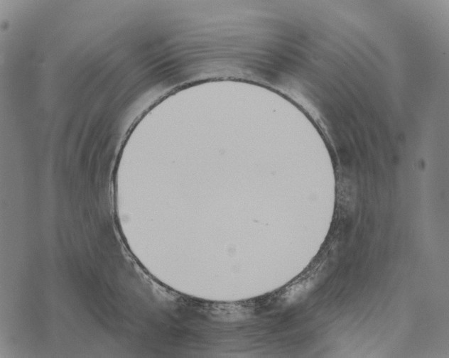 X0000073890807200609011652