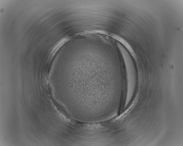 X0000073890809200609011651