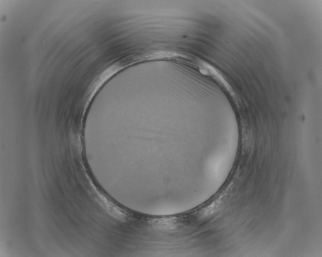 X0000073890810200609011651