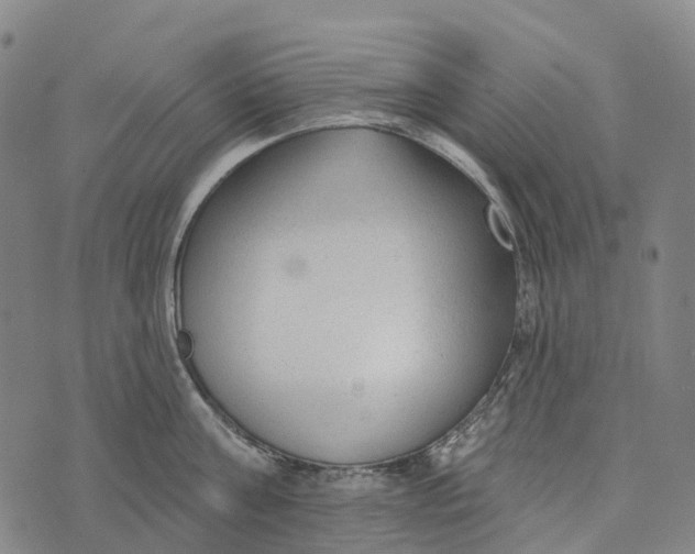 X0000073890811200609011651