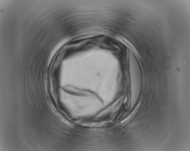 X0000073890812200609011651