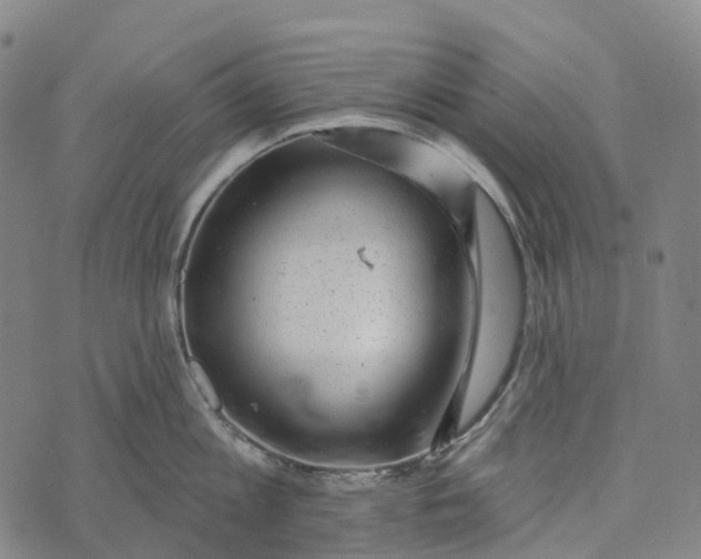 X0000073890813200609011651