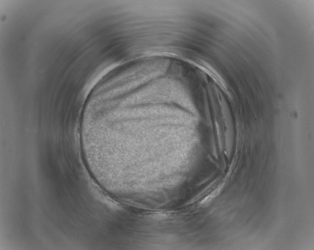 X0000073890814200609011651