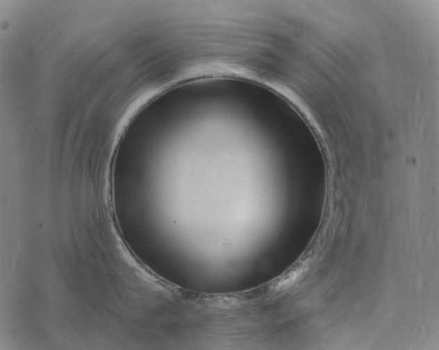 X0000073890815200609011651