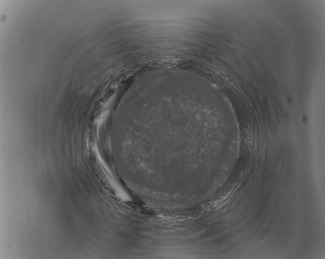 X0000073890818200609011651