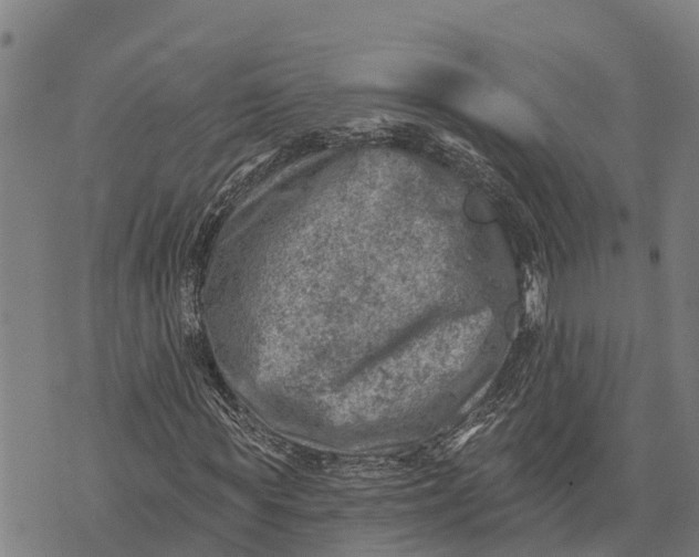 X0000073890819200609011651