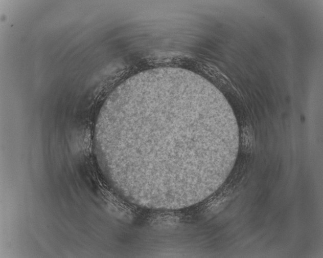 X0000073890820200609011651