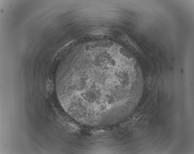 X0000073890821200609011651