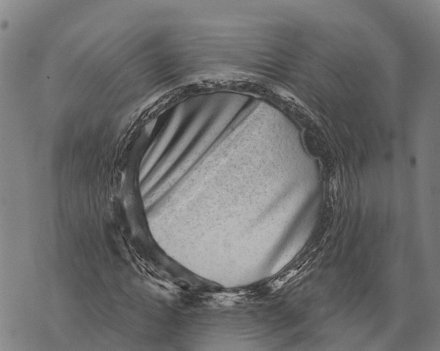 X0000073890822200609011651