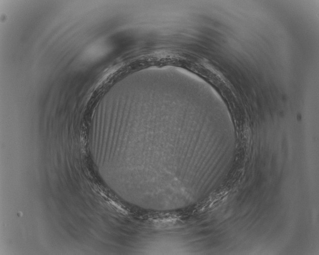 X0000073890823200609011651