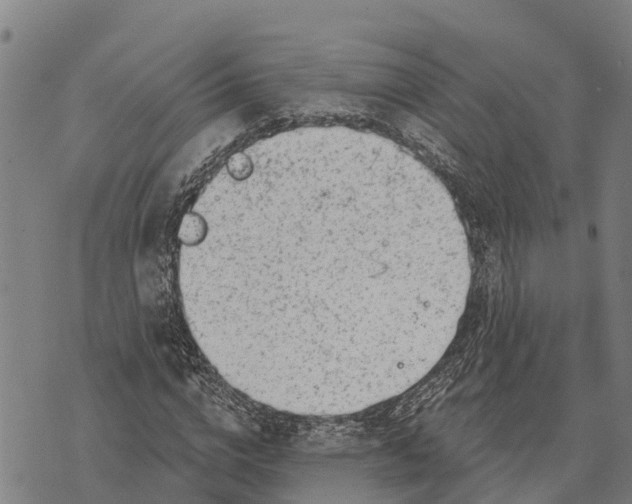 X0000073890824200609011651