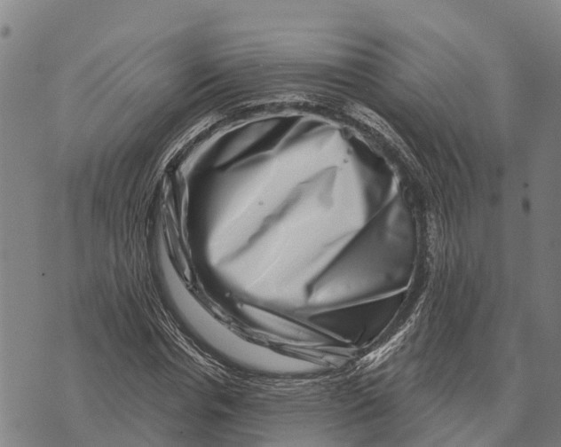 X0000073890826200609011651