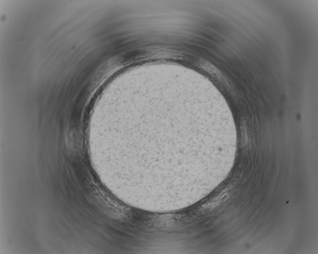 X0000073890828200609011651