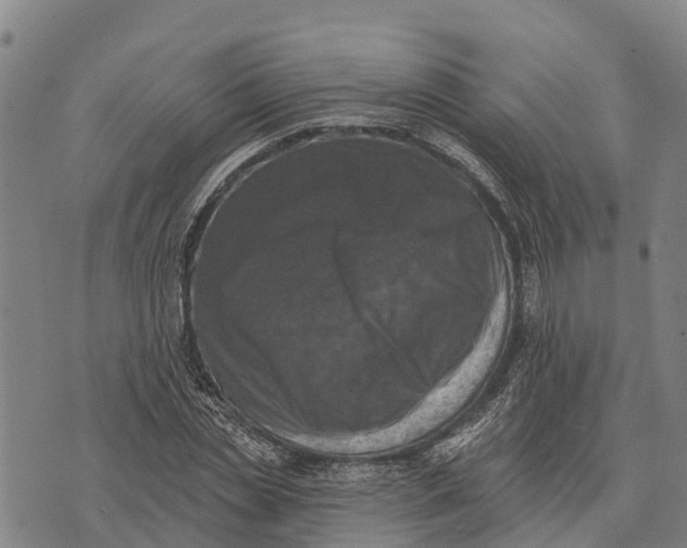 X0000073890829200609011651