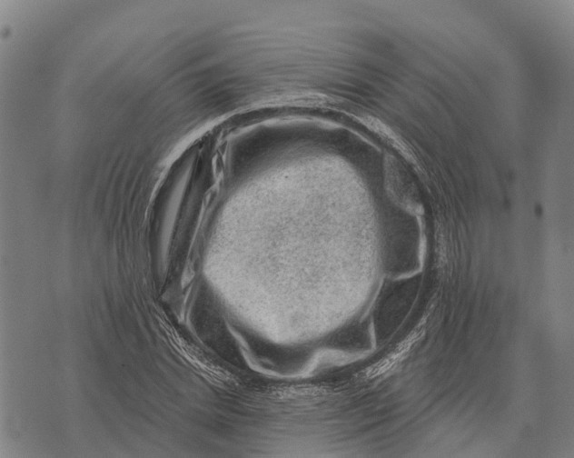 X0000073890830200609011651