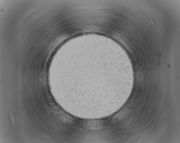 X0000073890832200609011651