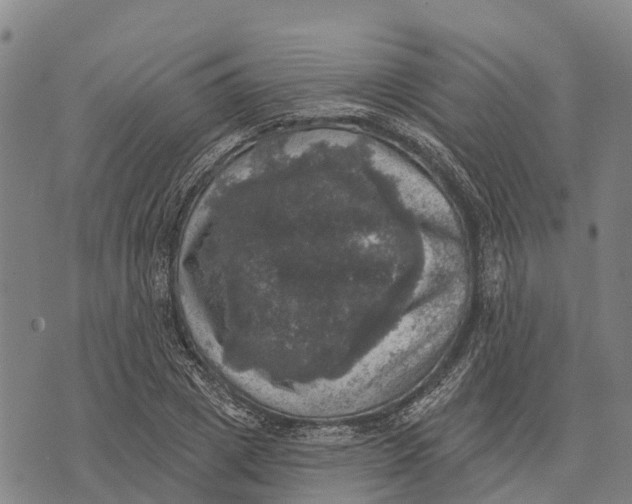 X0000073890833200609011651