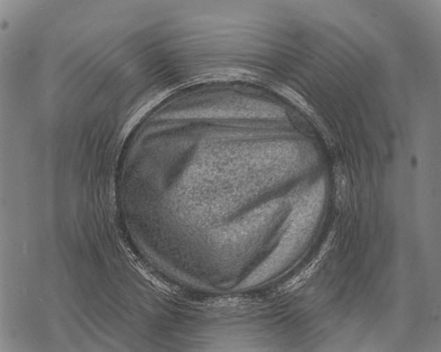 X0000073890834200609011651