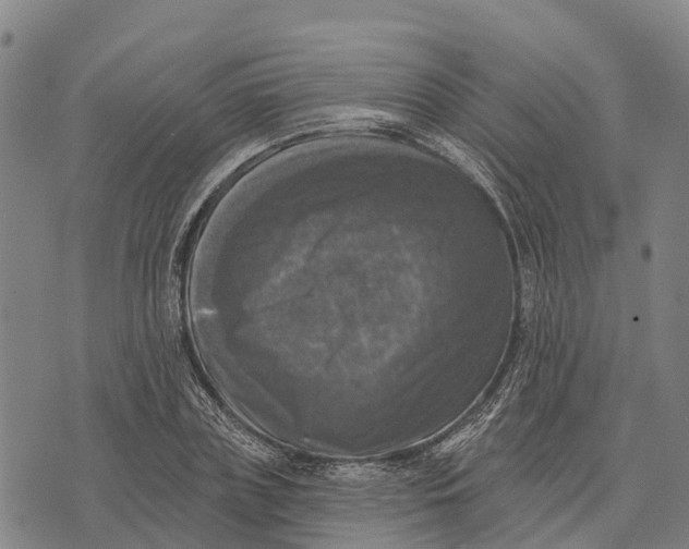 X0000073890835200609011651