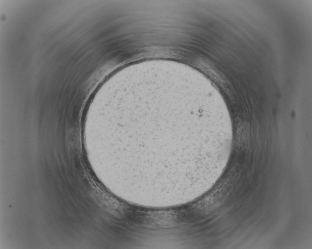 X0000073890836200609011651