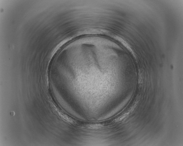 X0000073890837200609011651