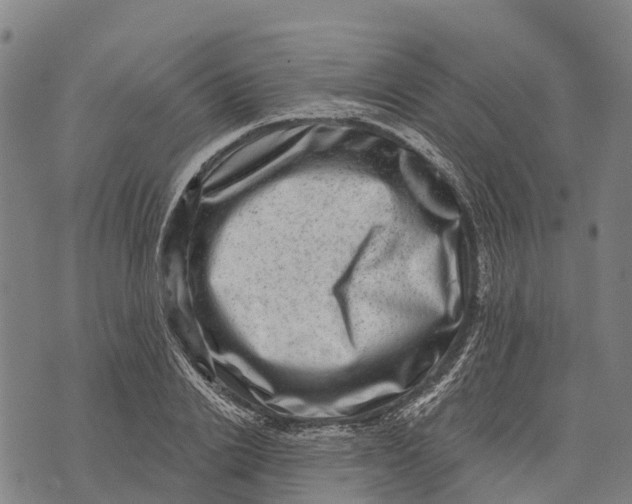 X0000073890838200609011651