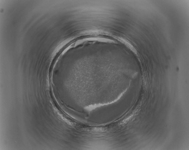 X0000073890839200609011651