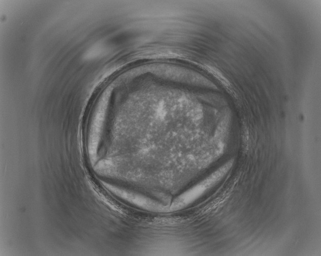 X0000073890840200609011651