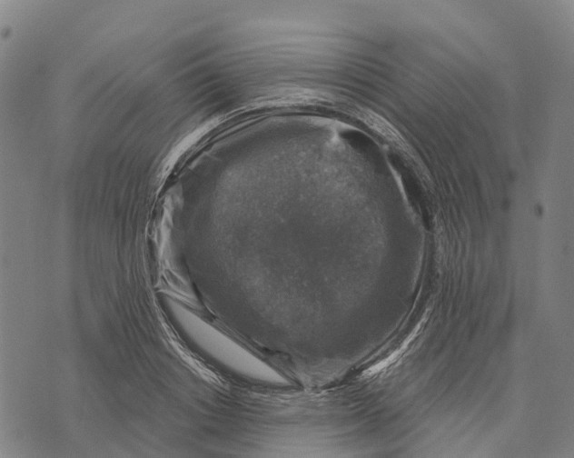 X0000073890842200609011651