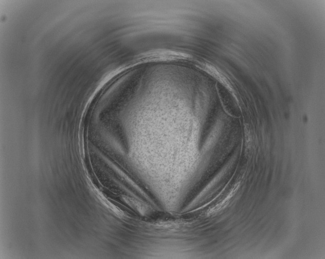 X0000073890843200609011651