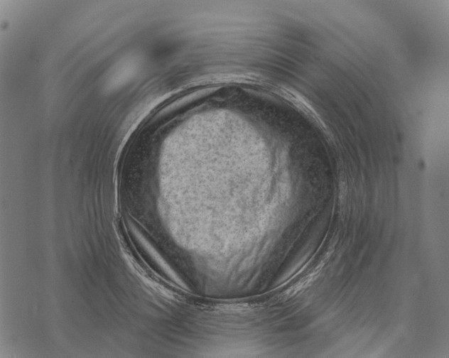 X0000073890844200609011651