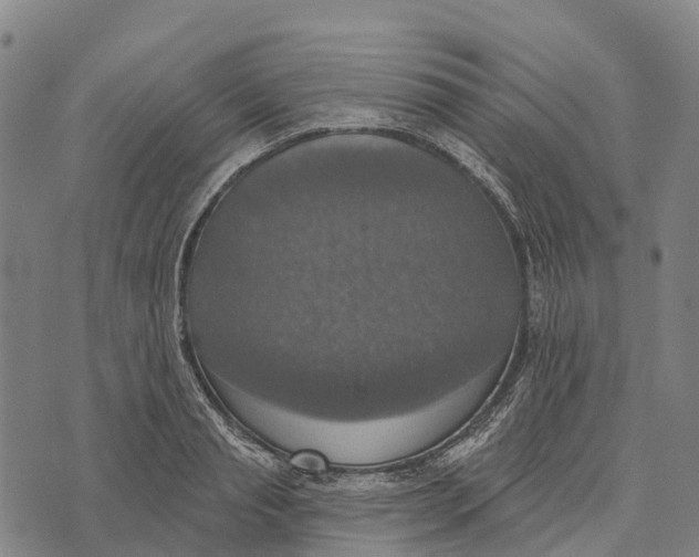 X0000073890845200609011651