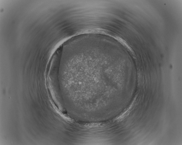 X0000073890846200609011651