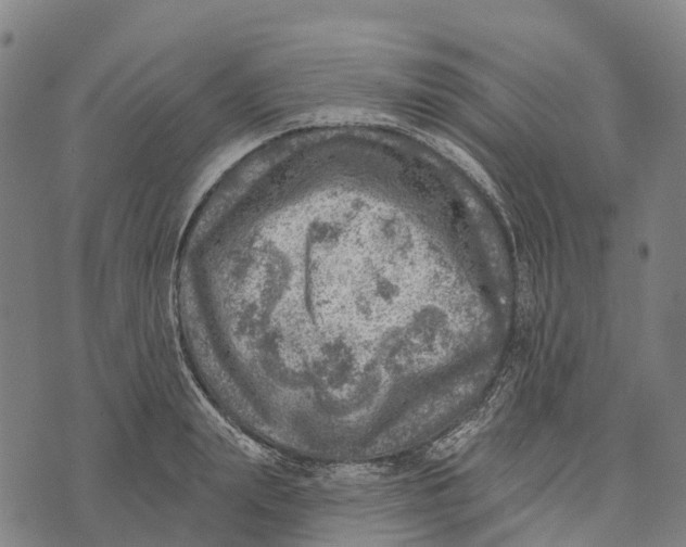 X0000073890847200609011651