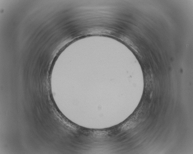 X0000073890848200609011651