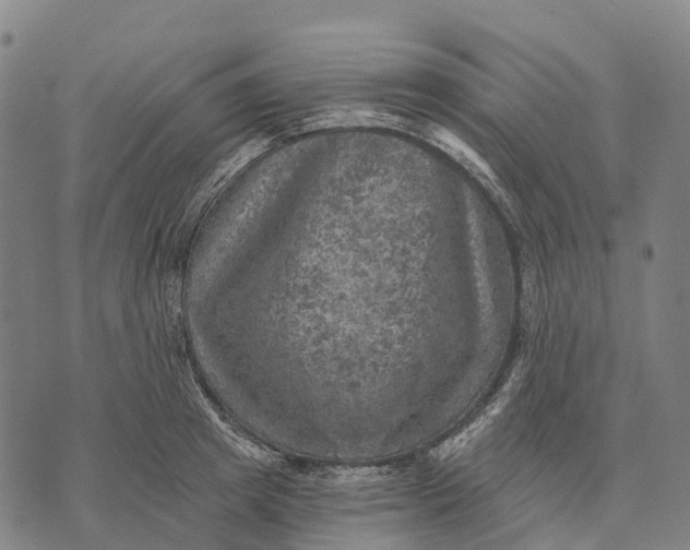 X0000073890849200609011651