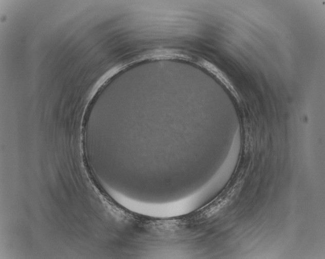 X0000073890853200609011651