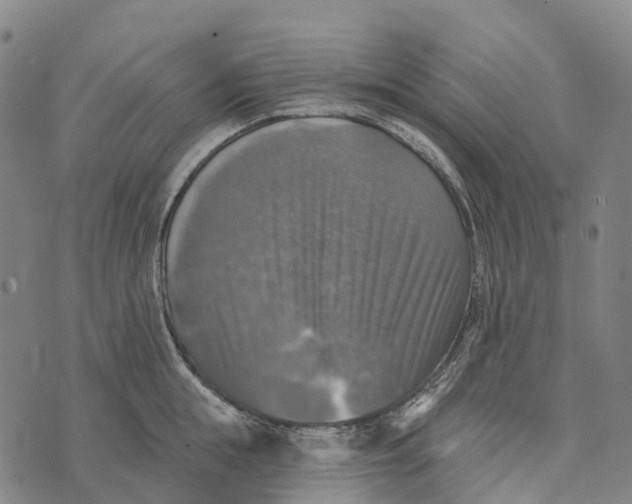 X0000073890855200609011651