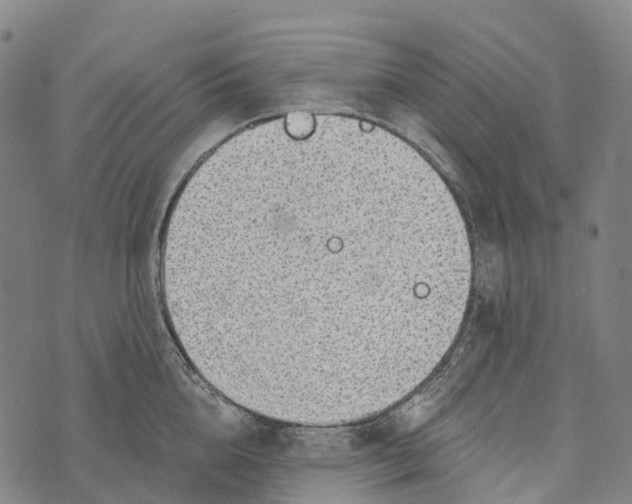 X0000073890856200609011651