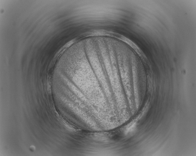 X0000073890857200609011651